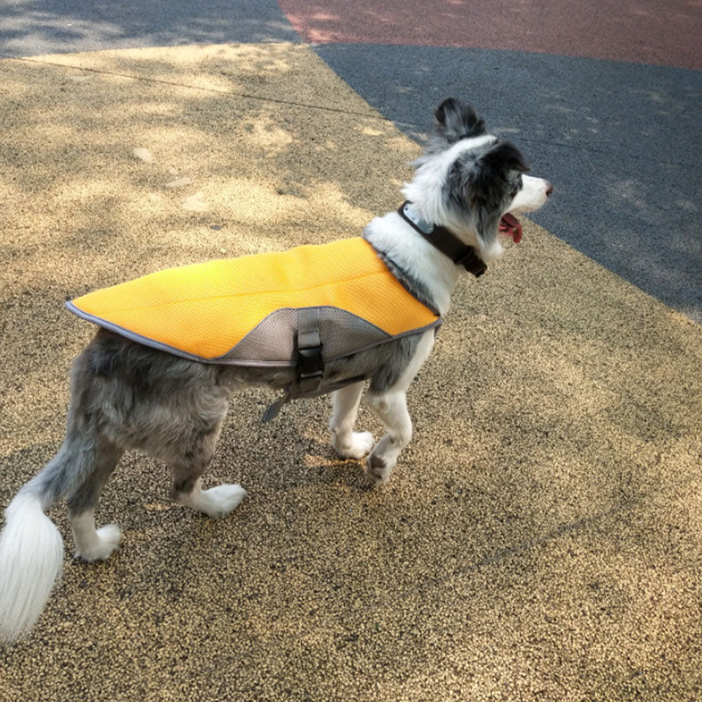 Summer dog cooling vest