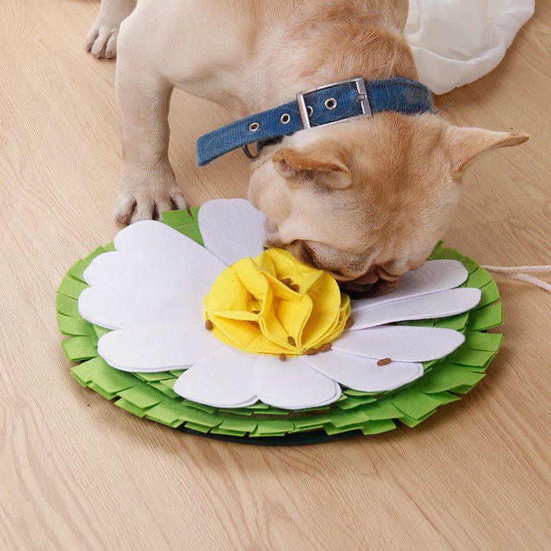 Sniffing Pad Dog Toys