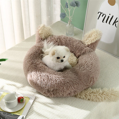 Cozy Dog Beds