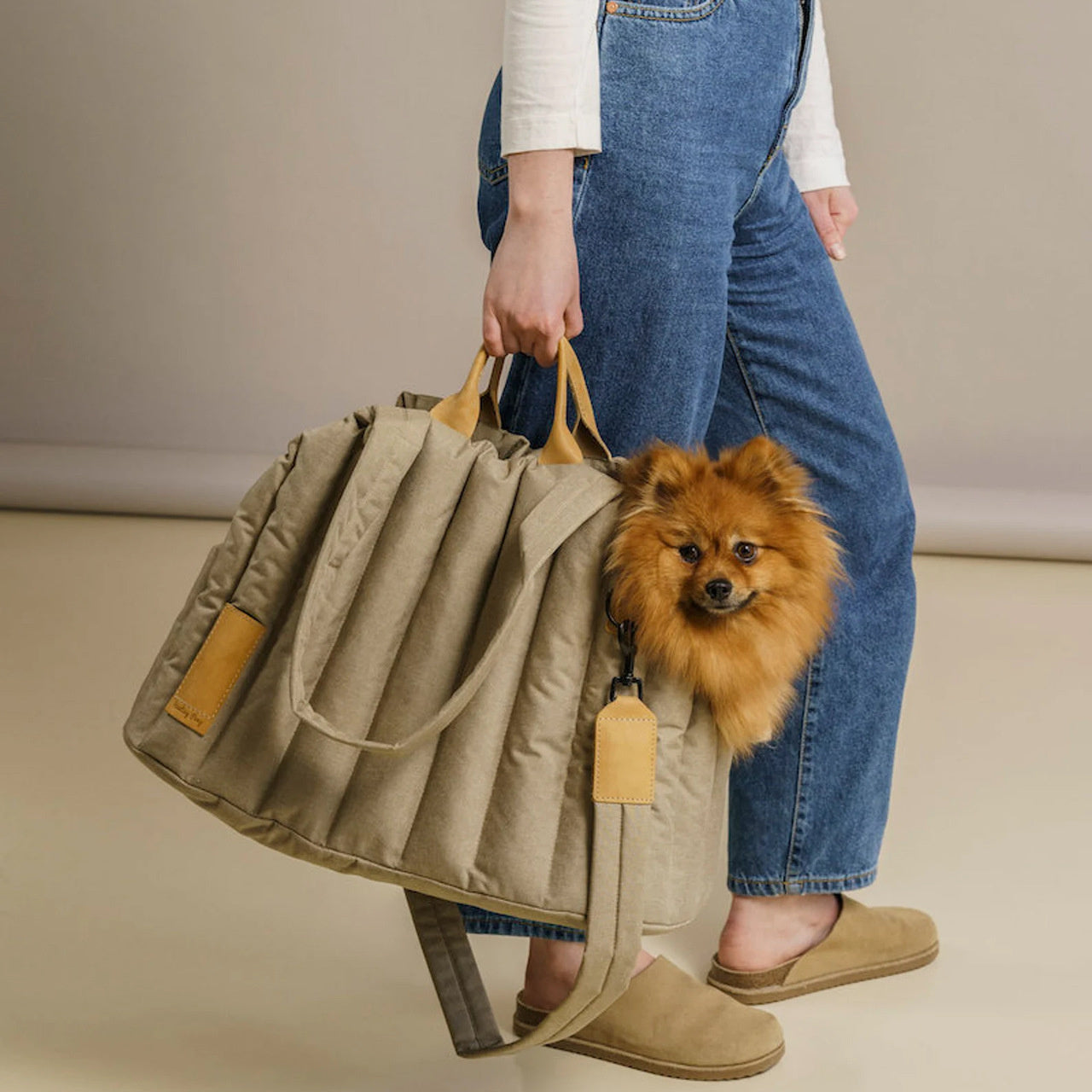 Dog Bag Carrier