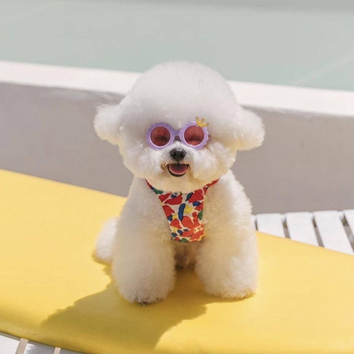 Cute Dog Sunglasses