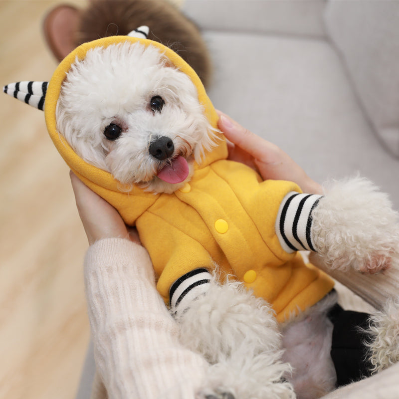 Autumn Clothing for Dogs