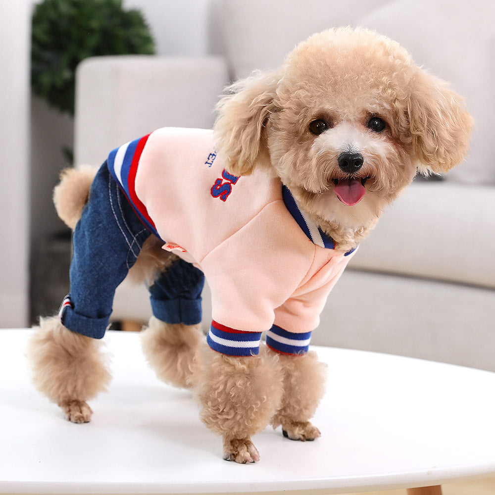 Autumn Clothing for Dogs