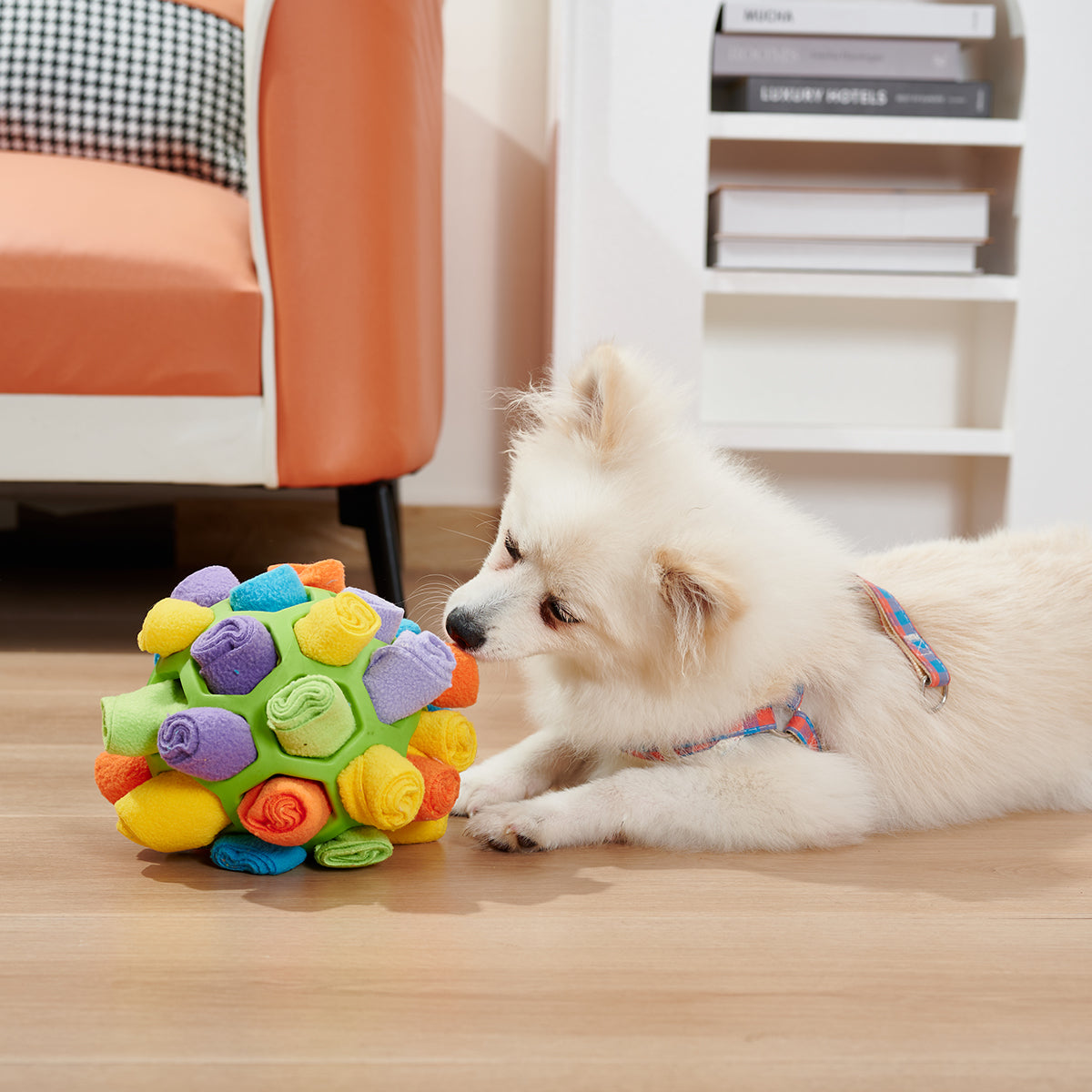 Snuffle Balls for Dogs